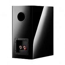 Dynaudio Evoke 20 Black High Gloss пассивная полочная АС 18см/180Вт 2