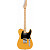 Электрогитара FENDER AM PRO TELE MN BTB (ASH)