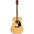 Комплект гитарный FENDER FA-115 Dread Pack V2 Nat WN
