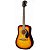 Акустическая гитара FENDER FA-125 Dreadnought, SB WN