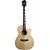 Акустическая гитара Fernandes PD16C N 