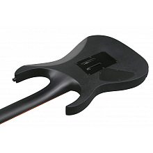 Электрогитара Ibanez RGRT420-WK 3
