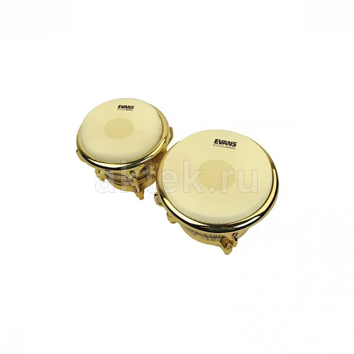 Evans EB09 Bongo Head 8-5/8" пластик для бонго 2