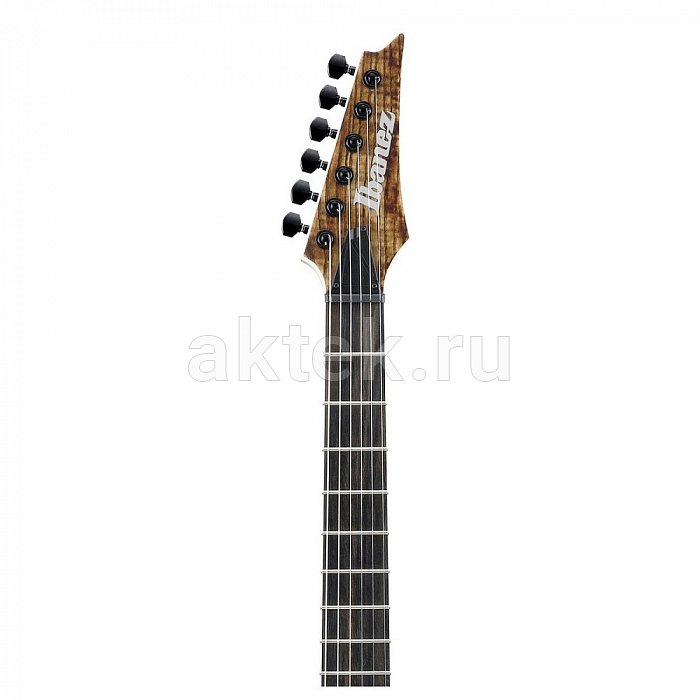 Электрогитара IBANEZ RGAIX6U-ABS Iron Label 3