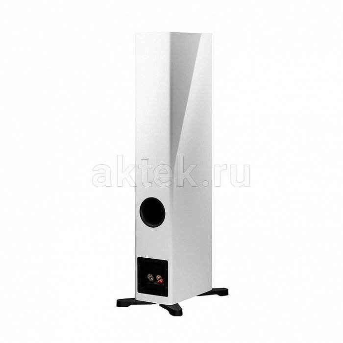 Dynaudio Evoke 30 White High Gloss пассивные 2,5-полосные напольники 2×14см/200Вт 4