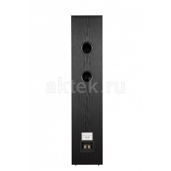 Phaze Audio VOLT Black+Tilia 1 Black напольный стереокомплект 2×80Вт 3