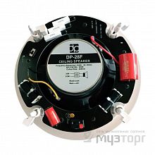 Потолочная акустическая система DP Technology Direct Power Technology DP-28F 8`+1.5. 3