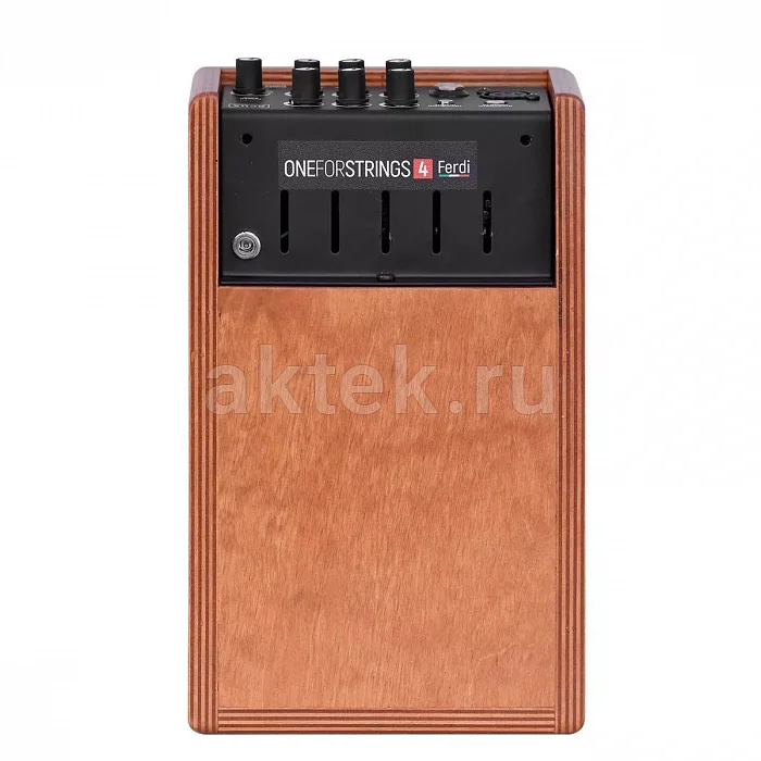 Acus One ForStrings 4Ferdi Wood акустический комбоусилитель, 40 Вт, USB-C 3
