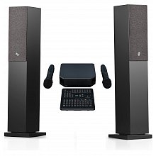 Профессиональная караоке система с микрофонами и акустикой AST Zoom+Audio Pro A38