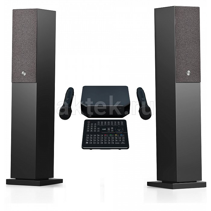 Профессиональная караоке система с микрофонами и акустикой AST Zoom+Audio Pro A38