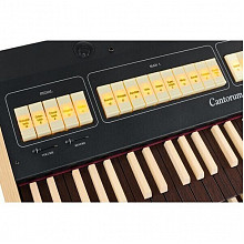 Цифровой орган Viscount Cantorum DUO Plus-W 2