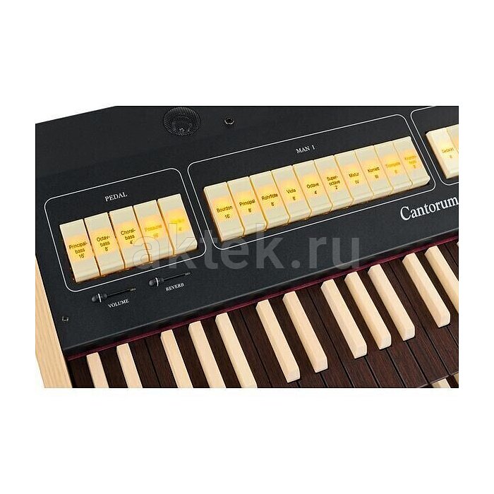 Цифровой орган Viscount Cantorum DUO Plus-W 2