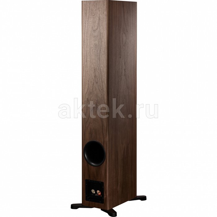 Dynaudio Evoke 50 Walnut wood напольная акустическая система 5