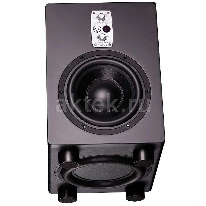 Студийный сабвуфер EVE AUDIO TS108 3