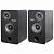 Полочная акустическая система Radiotehnika Sigma 1.01 Black Ash