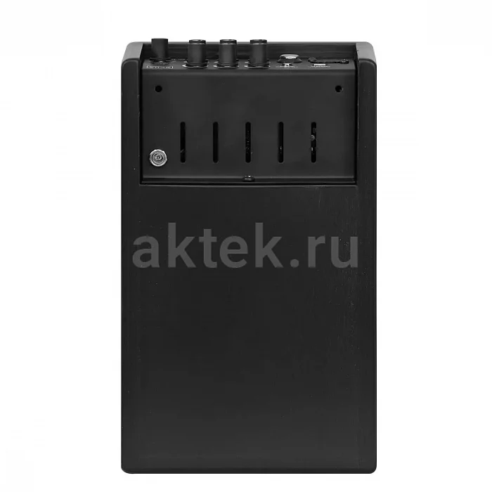 Acus One ForStrings 4Ferdi гитарный усилитель, 40 Вт, 1 канал 5