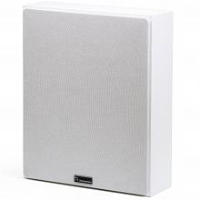 Настенная акустическая система Radiotehnika Vita 2.02 White Ash