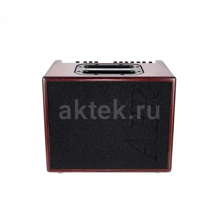 AER Compact 60/4 PMH акустический комбоусилитель, 60 Вт, два канала 3