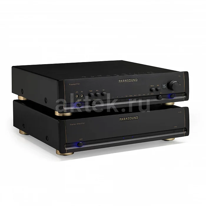 Усилитель мощности Parasound A23+ black 4