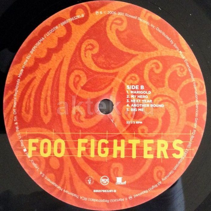 Виниловая пластинка FOO FIGHTERS - SKIN AND BONES 180 GRAM BLACK VINYL 12" 4