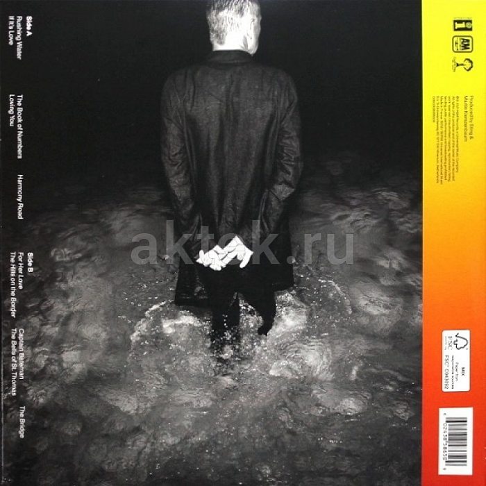 Виниловая пластинка STING - THE BRIDGE 180 GRAM BLACK VINYL 12" 3