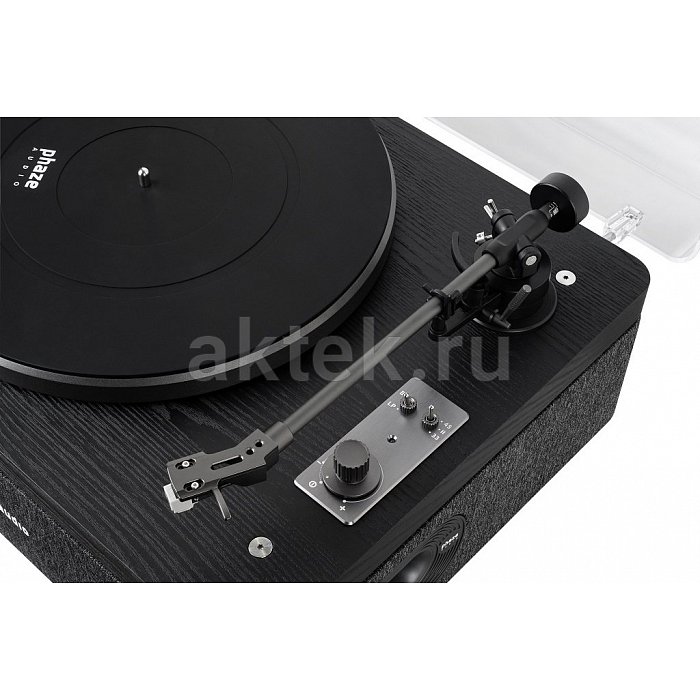 Phaze Audio Adelle Shadow Black электрофон со встроенной акустикой 2×12Вт 2