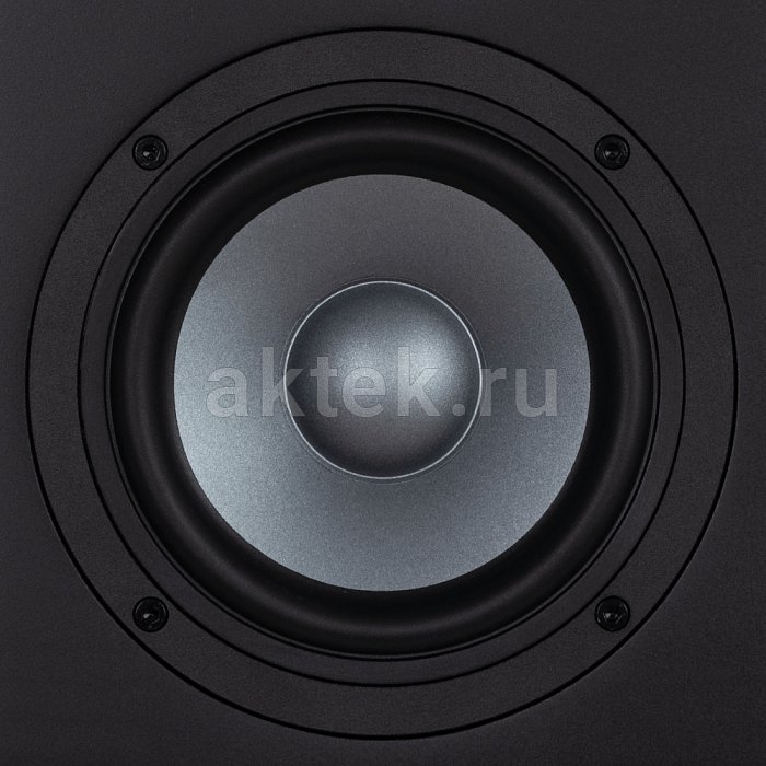Студийный монитор EVE AUDIO EXO 25 4