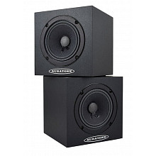 Студийные мониторы Auratone 5C Passive Pair Black 2