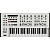 Синтезатор UDO Audio DMNO Domino White