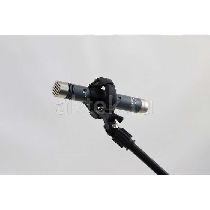 AuraSonics AP22-MP инструментальные студийные микрофоны, золотой 4