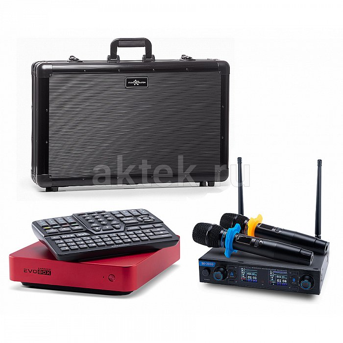 Караоке система для дома EVOBOX+SE 200D+EvoCase Ruby