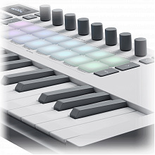MIDI клавиатура NOVATION Launchkey Mini 37 MK4 White 3