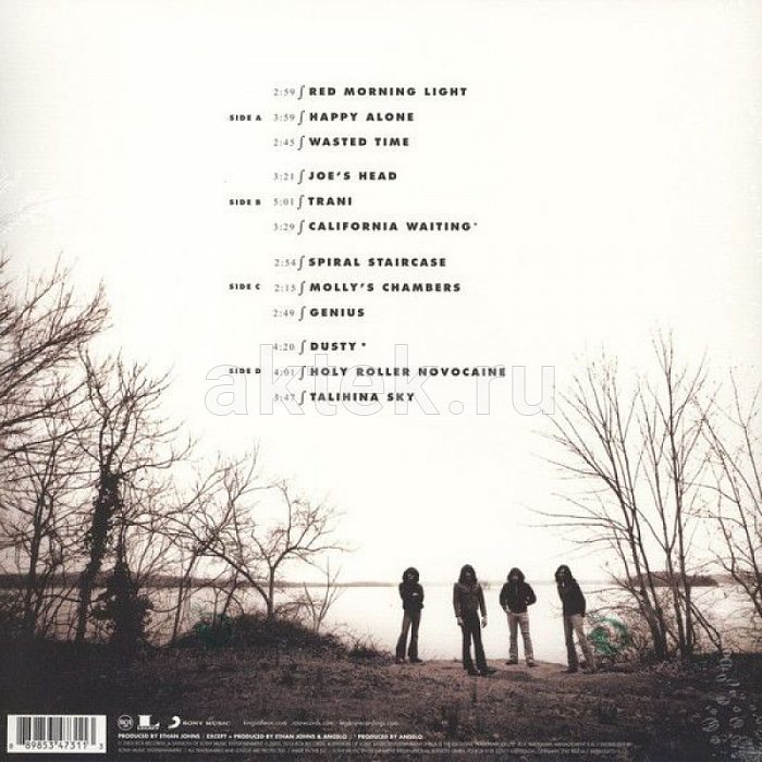 Виниловая пластинка KINGS OF LEON - YOUTH AND YOUNG MANHOOD 180 GRAM BLACK VINYL 12" 2