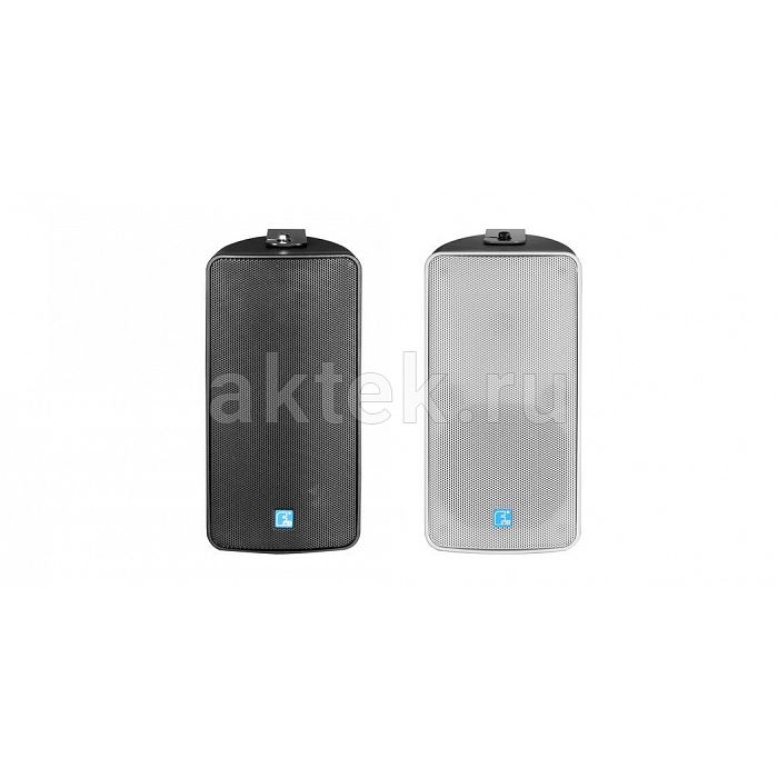 FDB Audio ES106BT Black пассивная настенная 100В-акустика 6″ 80Вт IP46 5