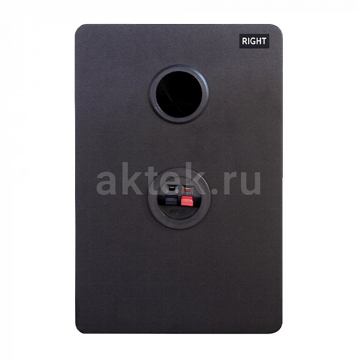 Домашний комплект караоке с микрофонами и акустикой SkyDisco Karaoke Home Set Plus SM-3BT 11