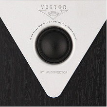 Напольная акустическая система Vector HX 310 3