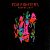 Виниловая пластинка FOO FIGHTERS - WASTING LIGHT 180 GRAM BLACK VINYL 12"