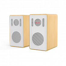 Акустическая система SkyDisco DS-205 Light Wooden