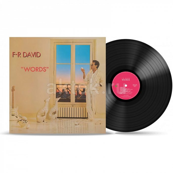 Виниловая пластинка F.R. DAVID - WORDS BLACK VINYL 12"