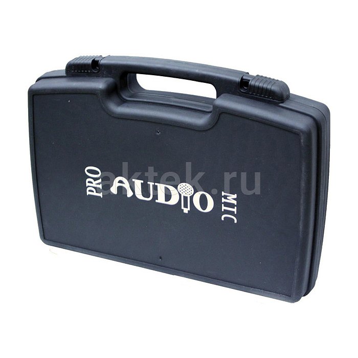 Радиосистема PROAUDIO WS-203HT 2