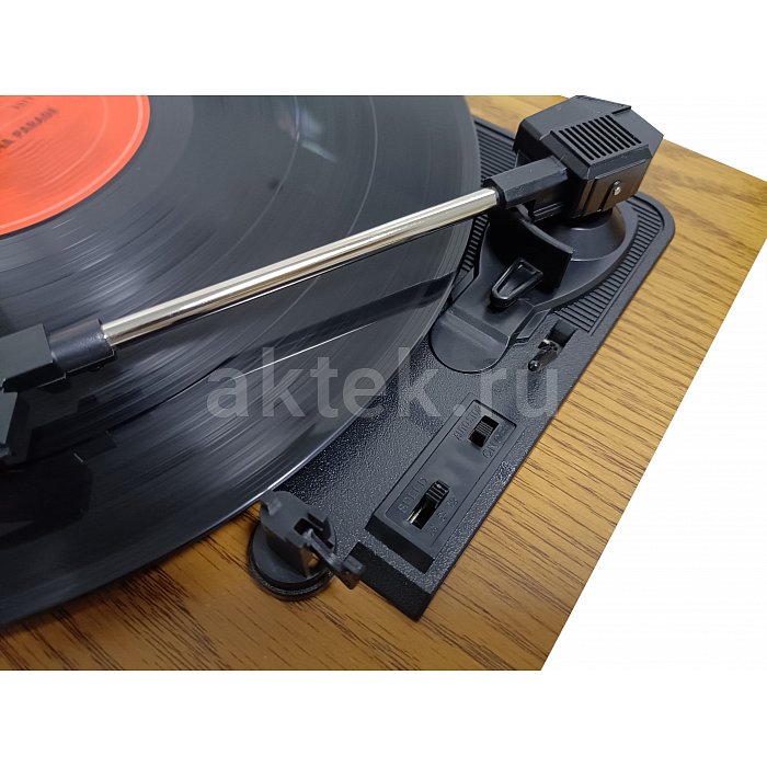 Комплект проигрывателя винила с акустикой SkyDisco TP204 Acoustic 3
