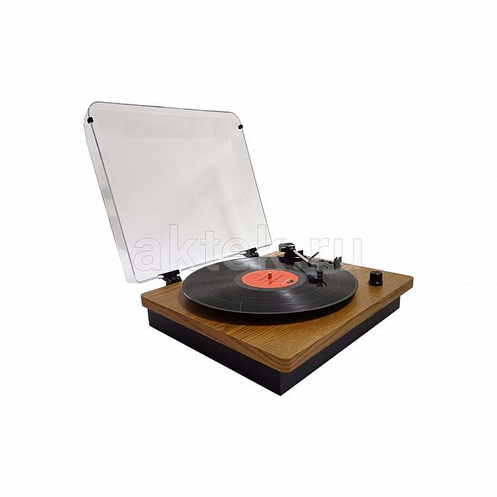 Комплект проигрывателя винила с акустикой SkyDisco TP204 Acoustic 8
