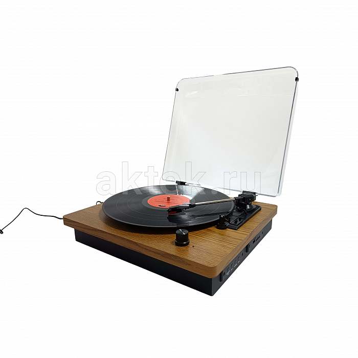 Комплект проигрывателя винила с акустикой SkyDisco TP204 Acoustic 10