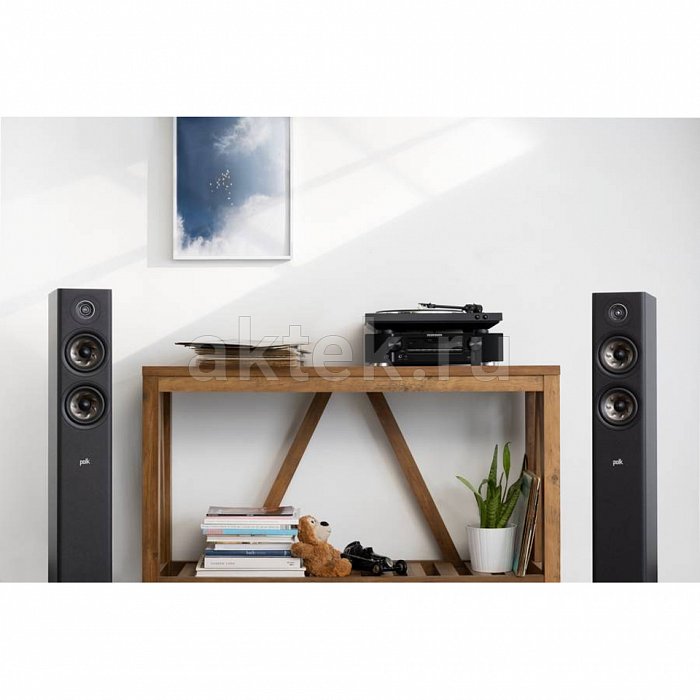 Polk RESERVE R500 Black напольная акустическая система 10