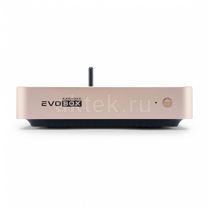 Домашнее профессиональное караоке EVOBOX PLUS + Sphere 2.1 Pearl Silver 14