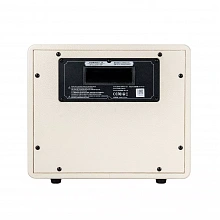Mooer DH15i Hornet WH гитарный усилитель, белый, 15 Вт, USB 2