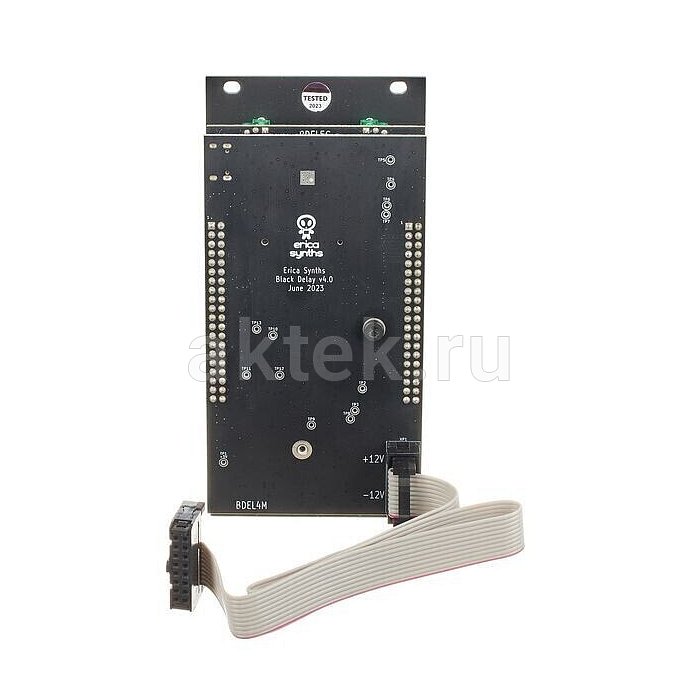 Модуль реверберации Erica Synths Black Stereo Reverb 4