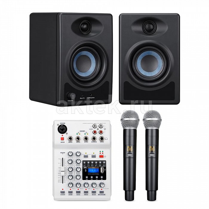 Онлайн караоке для дома с колонками SkyDisco UM-100 + SM-3BT