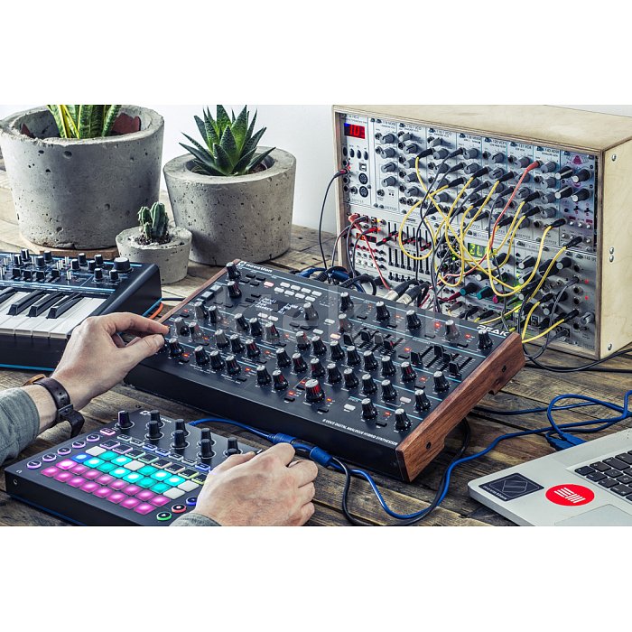 Синтезатор NOVATION PEAK 9