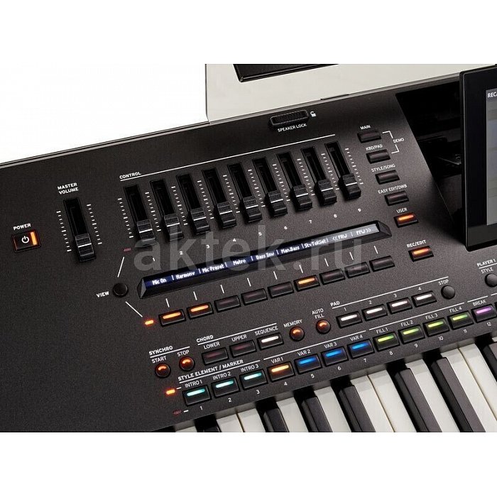 Цифровой синтезатор KORG PA5X 61 Oriental 6